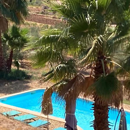 La Venturonne Appartement Neuf Rez De Jardin 45 M2 Vue Mer Et Vignes 10 Mn Des Plages Le Beausset Luaran gambar